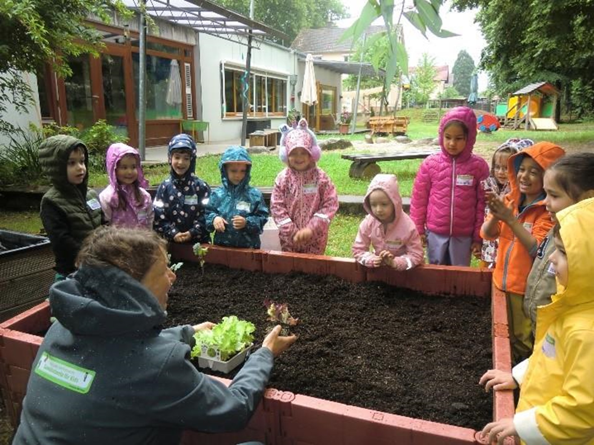 Kinder stehen lachend im Regen um ein Hochbeet. Eine Frau zeigt den Kindern eine Salatpflanze. 