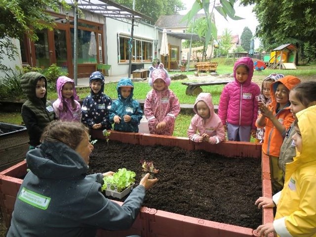Kinder stehen lachend im Regen um ein Hochbeet. Eine Frau zeigt den Kindern eine Salatpflanze. 